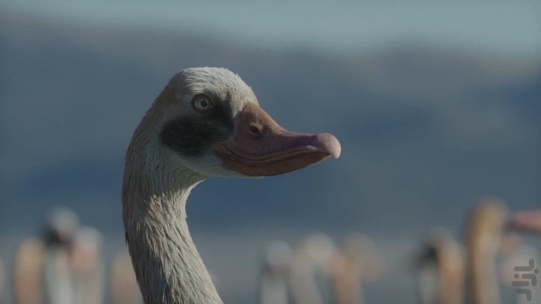 سیاره ماقبل تاریخ - عکس برنامه موبایلی اندروید