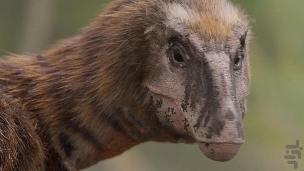 سیاره ماقبل تاریخ - عکس برنامه موبایلی اندروید