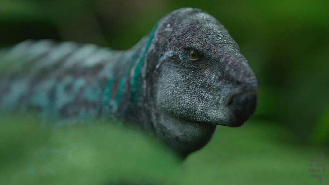 سیاره ماقبل تاریخ - عکس برنامه موبایلی اندروید