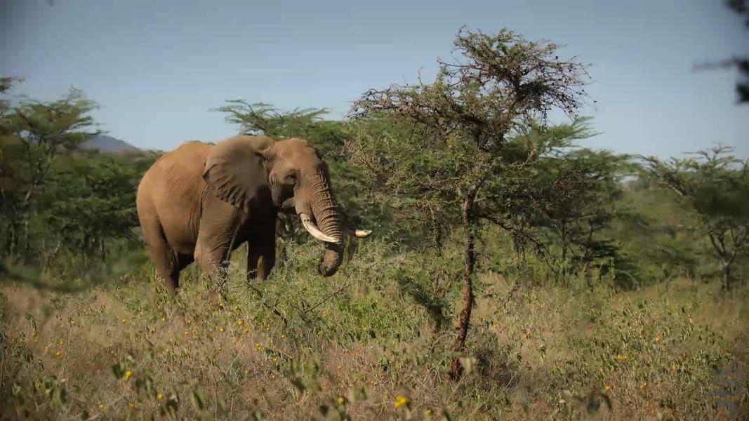 فوق طبیعی - عکس برنامه موبایلی اندروید