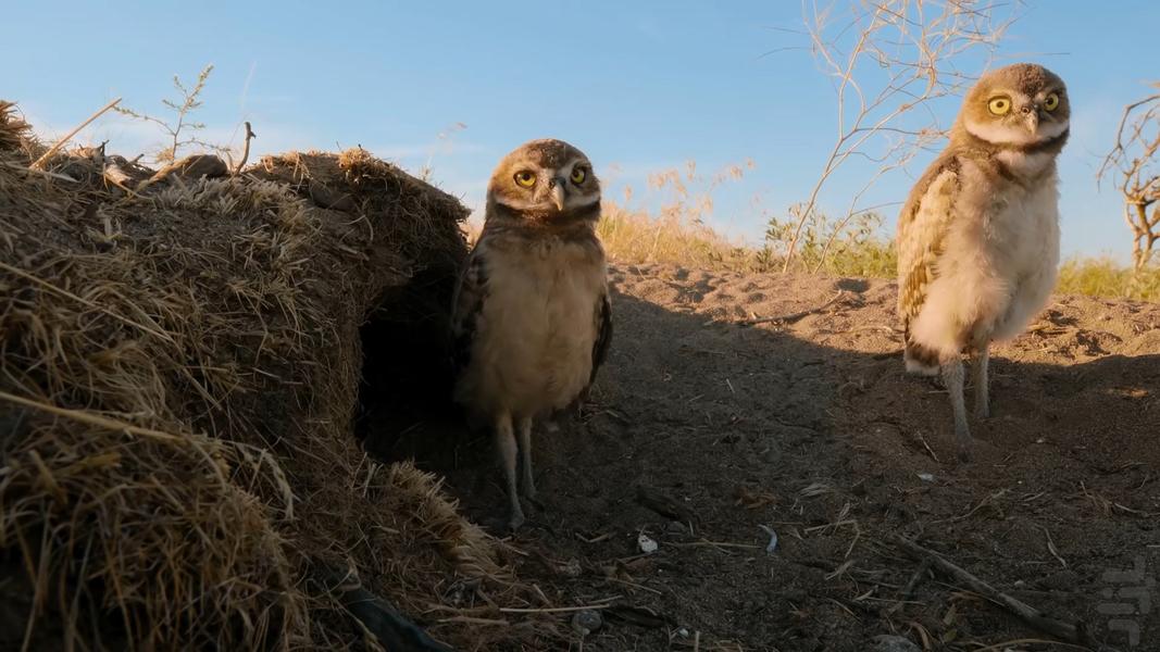 فوق طبیعی - عکس برنامه موبایلی اندروید