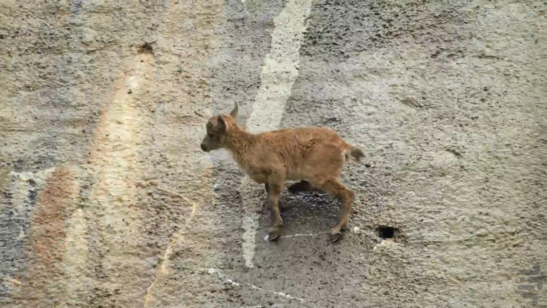 فوق طبیعی - عکس برنامه موبایلی اندروید