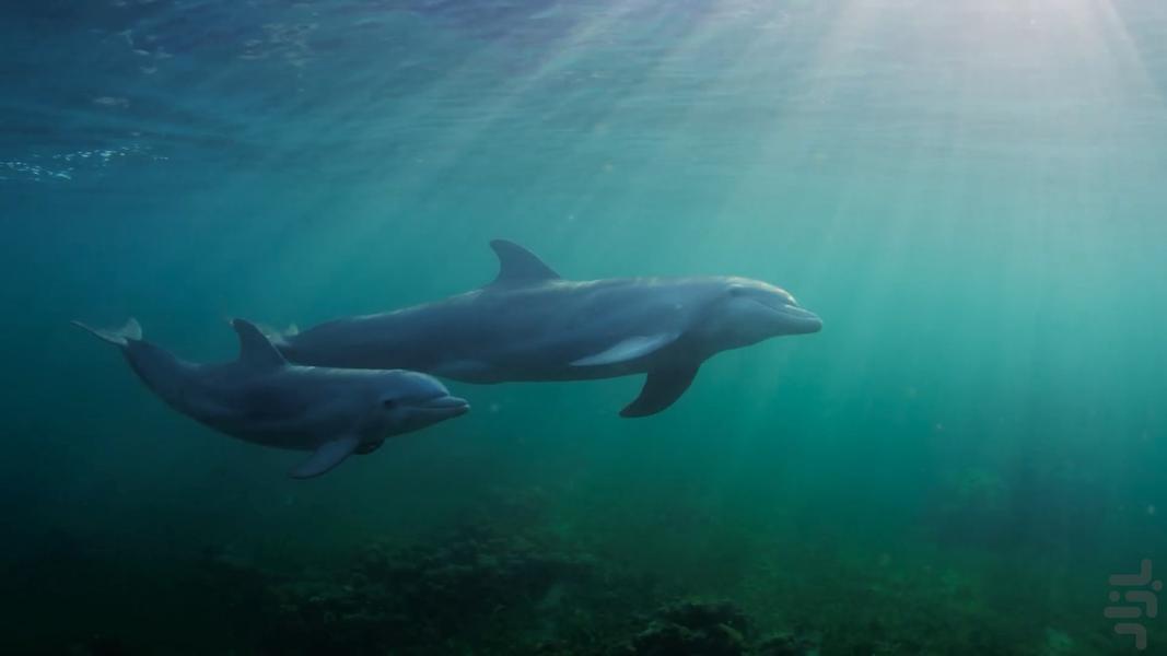 فوق طبیعی - عکس برنامه موبایلی اندروید