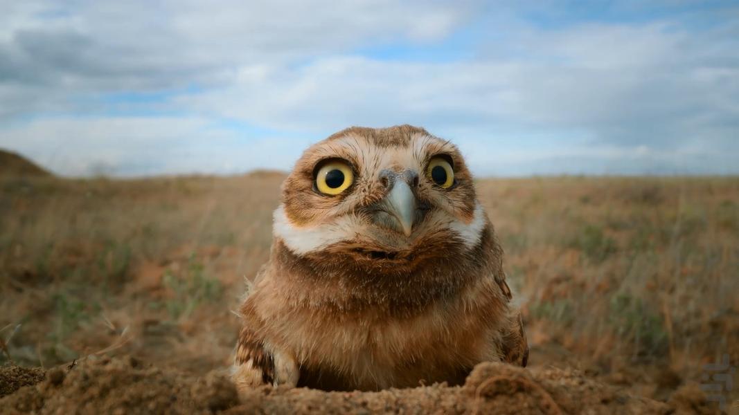 فوق طبیعی - عکس برنامه موبایلی اندروید