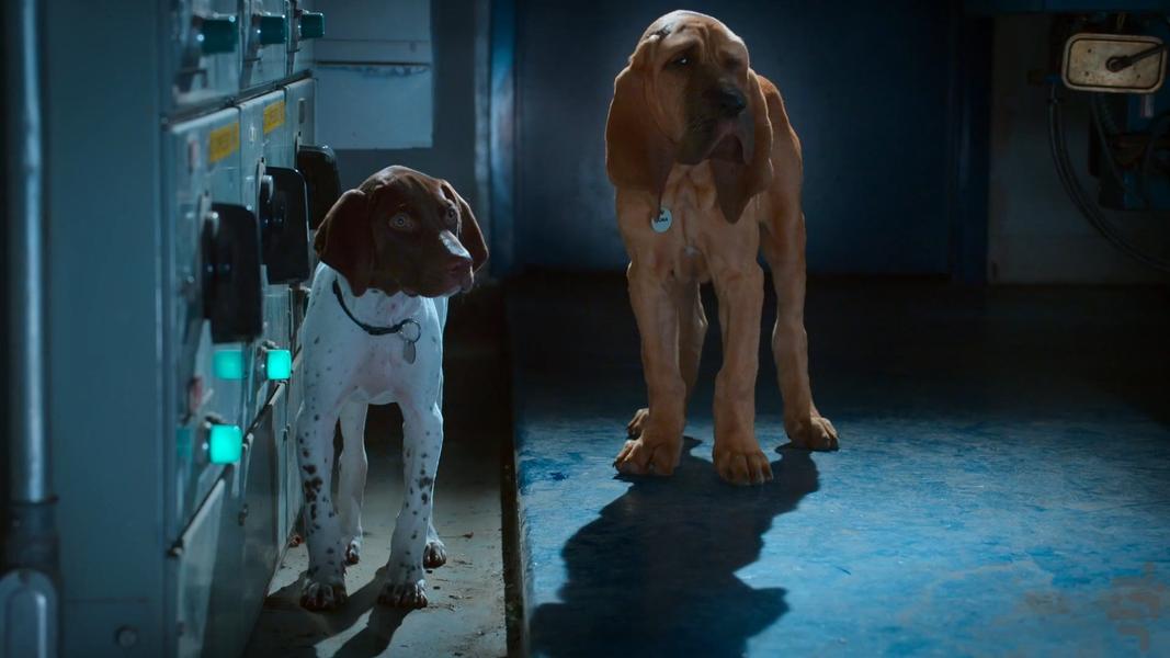 توله سگ های قهرمان - عکس برنامه موبایلی اندروید