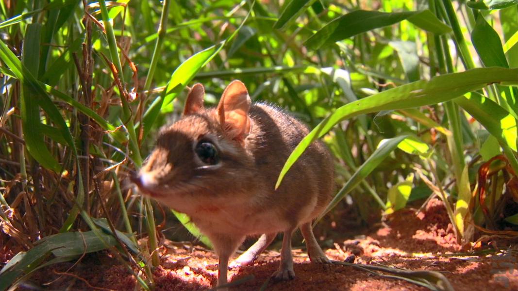 Tiny World - عکس برنامه موبایلی اندروید