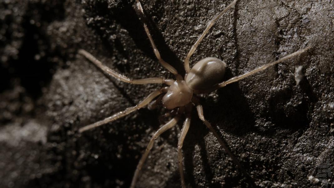 Welcome to Earth - Image screenshot of android app