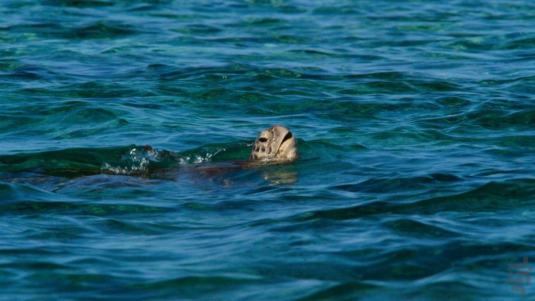 Welcome to Earth - Image screenshot of android app