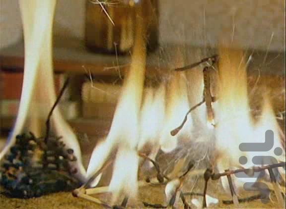 پت و مت ۳ بدون اینترنت - عکس برنامه موبایلی اندروید