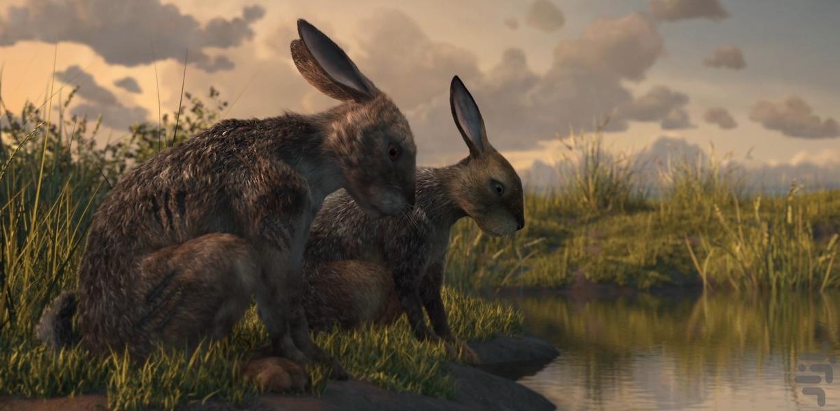 Watership Down - Image screenshot of android app