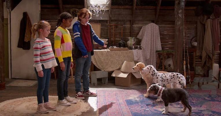 Phantom Pups - Image screenshot of android app