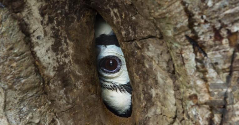 سیاره زمین ۳ - Image screenshot of android app