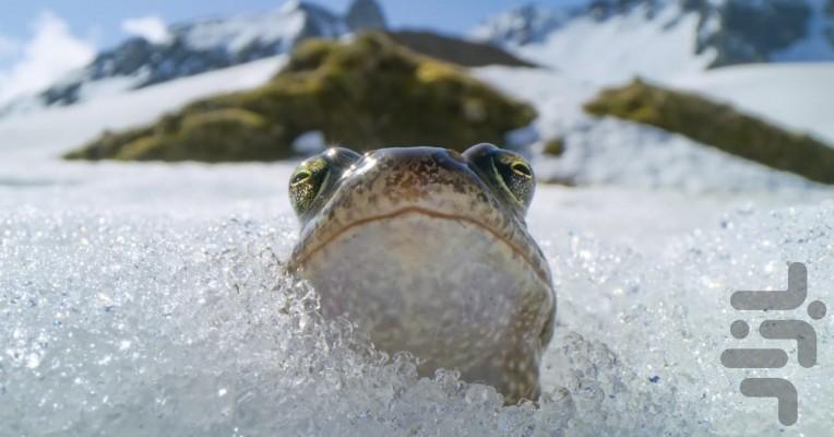 سیاره زمین ۳ - Image screenshot of android app