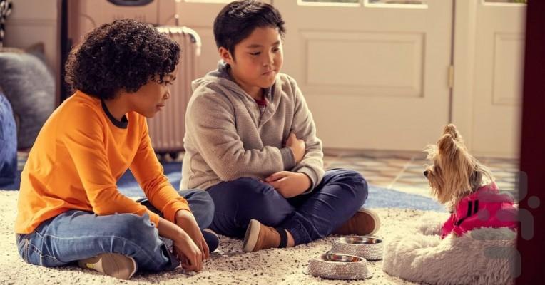 Puppy Place - Image screenshot of android app