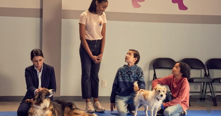 Puppy Place - Image screenshot of android app