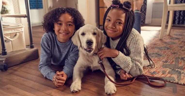 Puppy Place - Image screenshot of android app