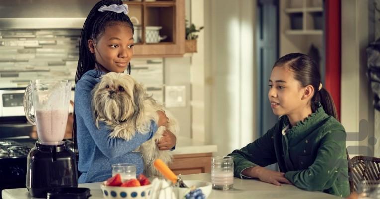 Puppy Place - Image screenshot of android app