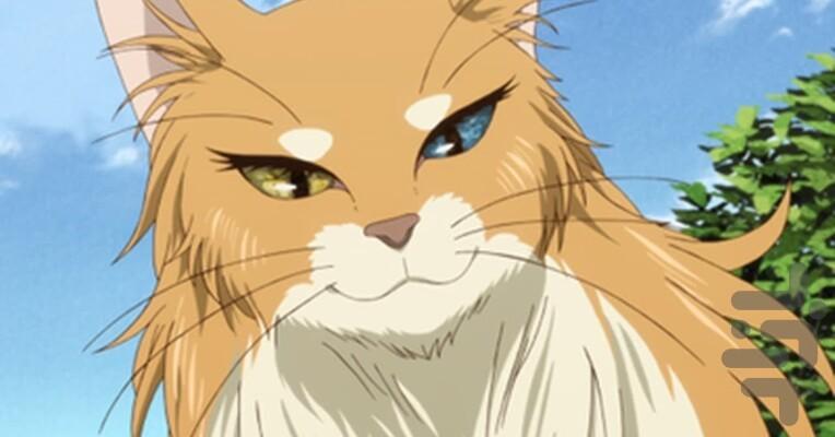 عروس جادوگر باستانی - Image screenshot of android app