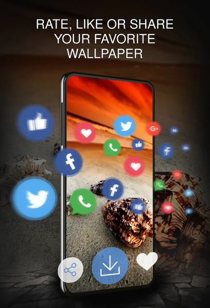 Seashells wallpapers 4K - Image screenshot of android app