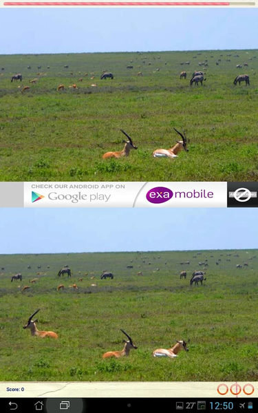 Spot the Difference - عکس بازی موبایلی اندروید