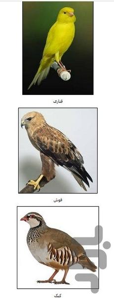 مهد پویا - Image screenshot of android app