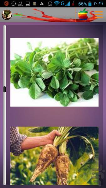 گیاهان معجزه کننده - عکس برنامه موبایلی اندروید