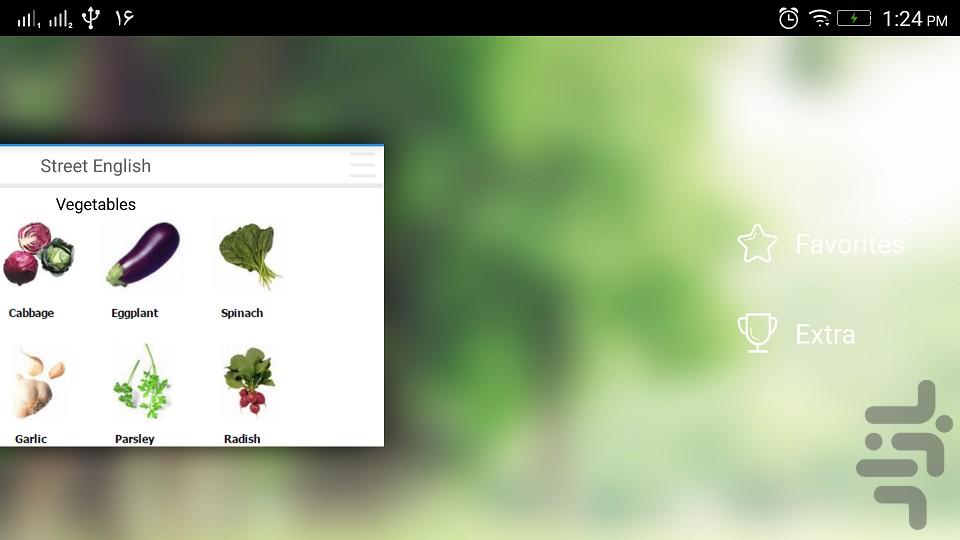 اصطلاحات عامیانه انگلیسی - عکس برنامه موبایلی اندروید