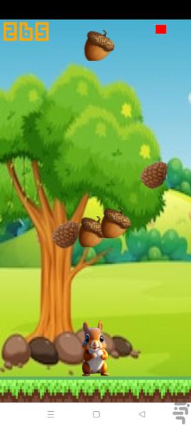 Glutton Squirrel - Gameplay image of android game