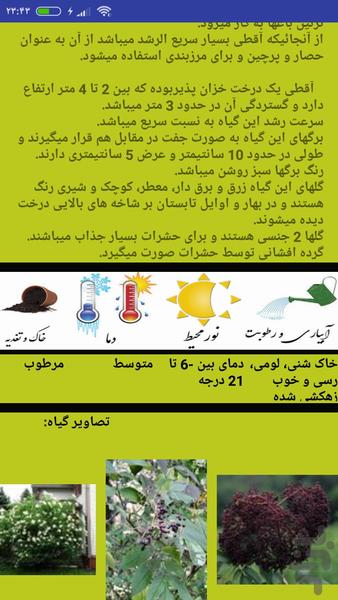 Goldone - Image screenshot of android app