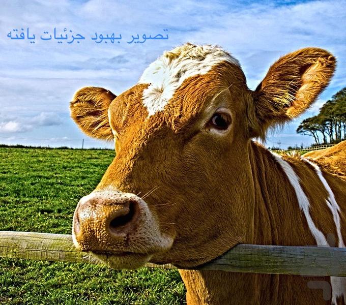 پردازش تصویر - عکس برنامه موبایلی اندروید