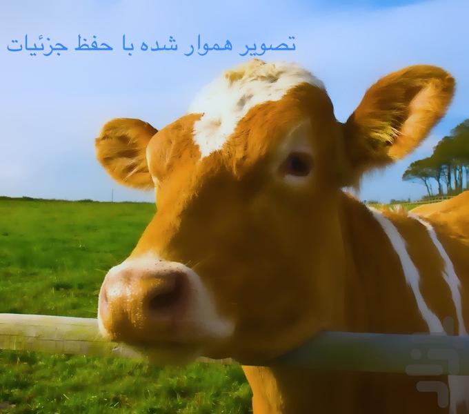 پردازش تصویر - عکس برنامه موبایلی اندروید