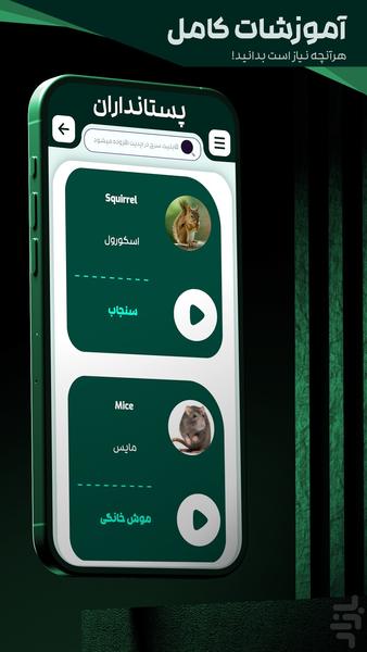 teaching English - Image screenshot of android app