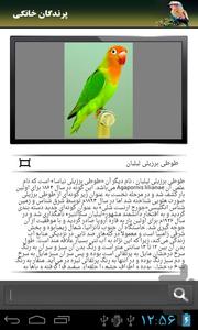 پرندگان خانگی - عکس برنامه موبایلی اندروید