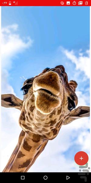 پرستیژ_پس زمینه full hd - عکس برنامه موبایلی اندروید