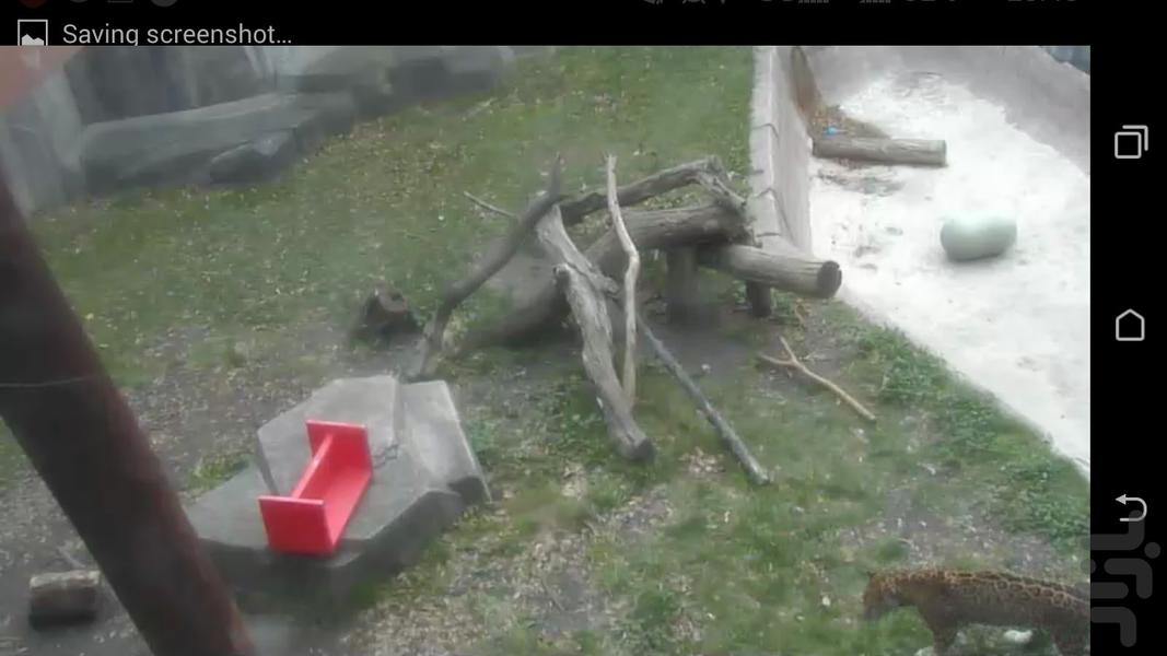 باغ وحش انلاین - Image screenshot of android app