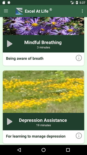 CBT Guide to Depression & Test - عکس برنامه موبایلی اندروید