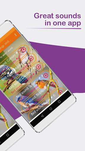 Bird sounds. Nice songs. - Image screenshot of android app