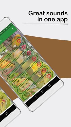 Canary Sounds. nice songs. - Image screenshot of android app