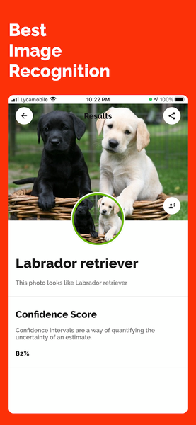 Identify Anything Lens Camera - عکس برنامه موبایلی اندروید