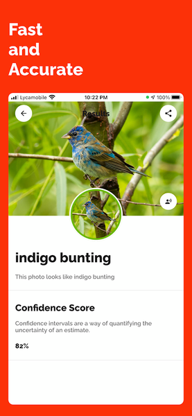 Identify Anything Lens Camera - عکس برنامه موبایلی اندروید