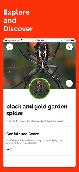 Identify Anything Lens Camera - عکس برنامه موبایلی اندروید