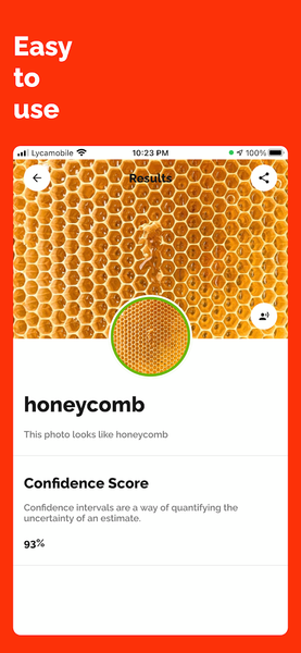 Identify Anything Lens Camera - عکس برنامه موبایلی اندروید