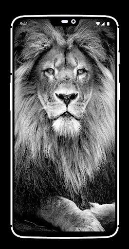 Lion Wallpaper - Image screenshot of android app