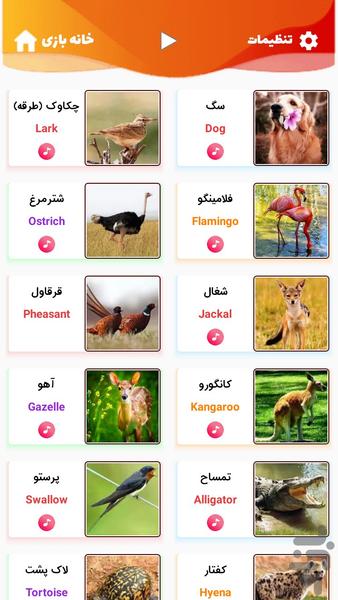 آقای قوقولی | صدای حیوانات - Gameplay image of android game