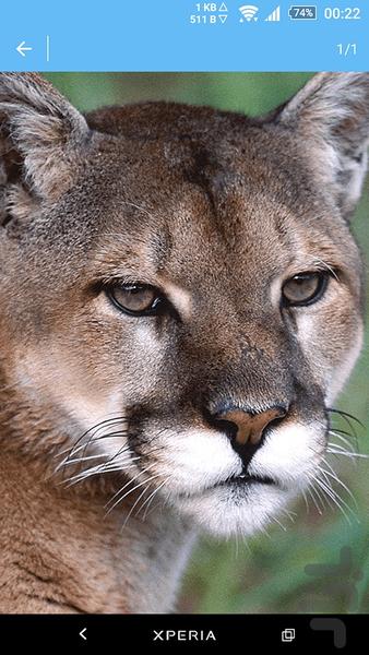 اسلایدر پس زمینه - عکس برنامه موبایلی اندروید