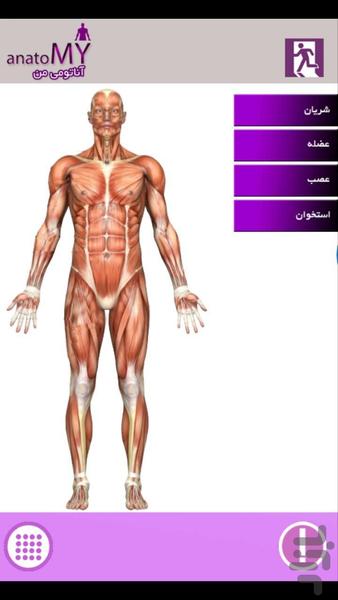 MyAnatomy - عکس برنامه موبایلی اندروید