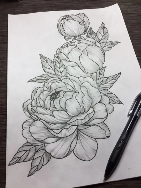 Flower Sketch - عکس برنامه موبایلی اندروید