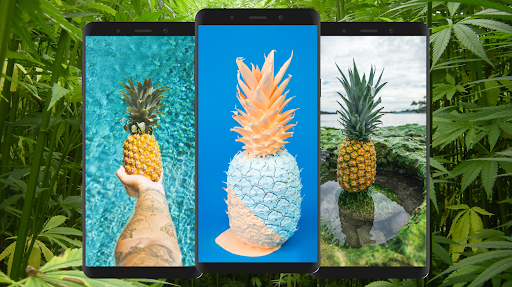 Pineapple Wallpaper 4K - Image screenshot of android app