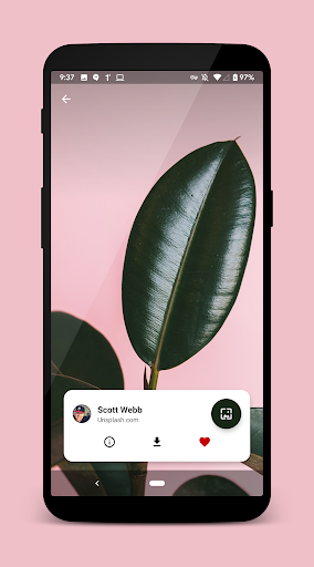Walpy - Wallpapers - Image screenshot of android app