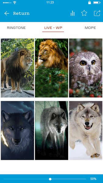 Ferocious beast Animal  Wallpaper - عکس برنامه موبایلی اندروید